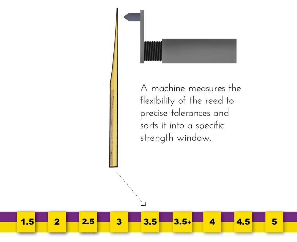 Single reed flex Arundo Research Company
